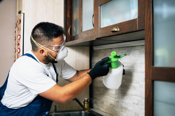Best Insect Control  in Sarand, AL