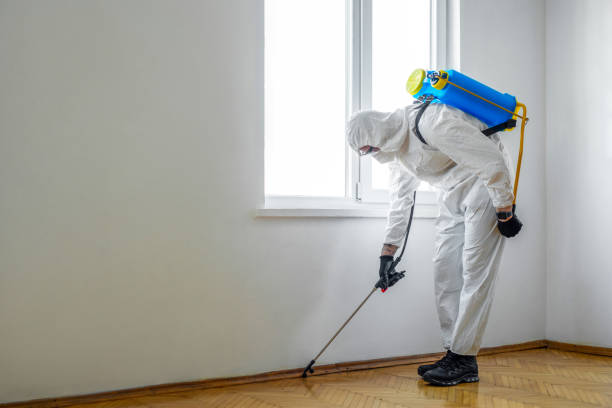 Best Wasp Removal Services  in Sarand, AL