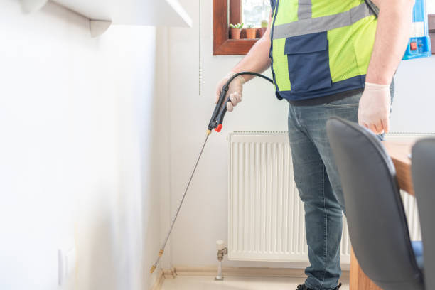 Best Termite Control Services  in Sarand, AL