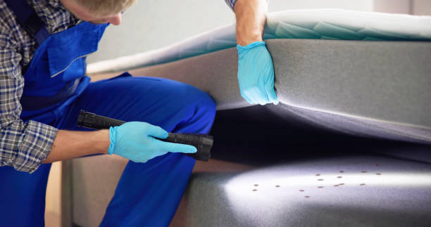 Best Insect Control  in Sarand, AL