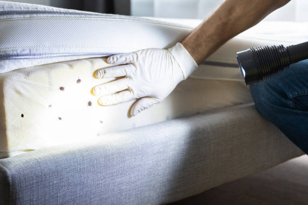Best Pest Control Near Me  in Sarand, AL