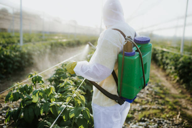 Best Mosquito Control Services  in Sarand, AL